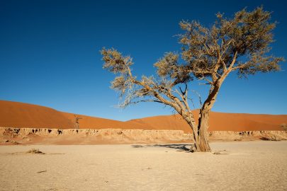 Deadvlei