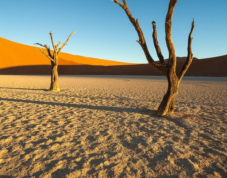 Deadvlei