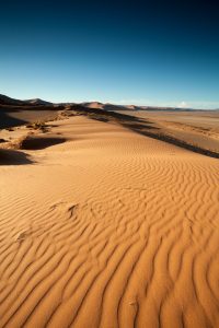Dune 17 Namibia