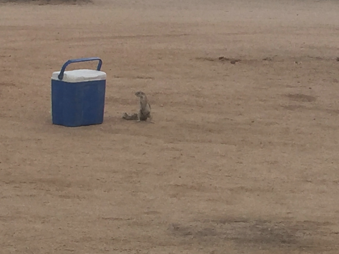 Spitzkoppe Campsite, Namibia