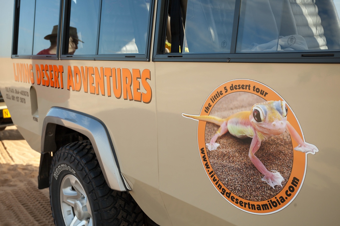 Living Desert Adventures by Chris, the little 5 tour, Swakopmund, Namibia