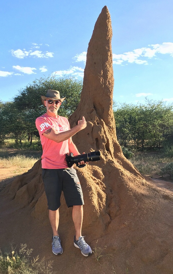 Termitenhügel, Namibia